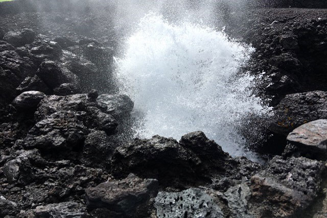 Hawaiian Waves