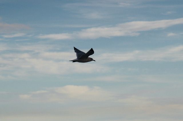 High Flight